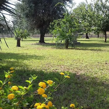 ベッド・アンド・ブレックファスト Elda Salento トゥーリエ