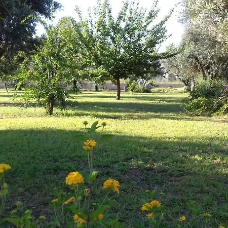 Elda Salento ベッド・アンド・ブレックファスト 3*