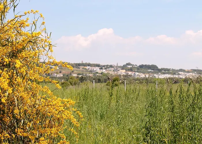 Elda Salento فندق مبيت وإفطار 3*