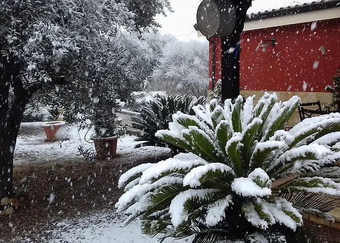 فندق مبيت وإفطار Elda Salento توليي