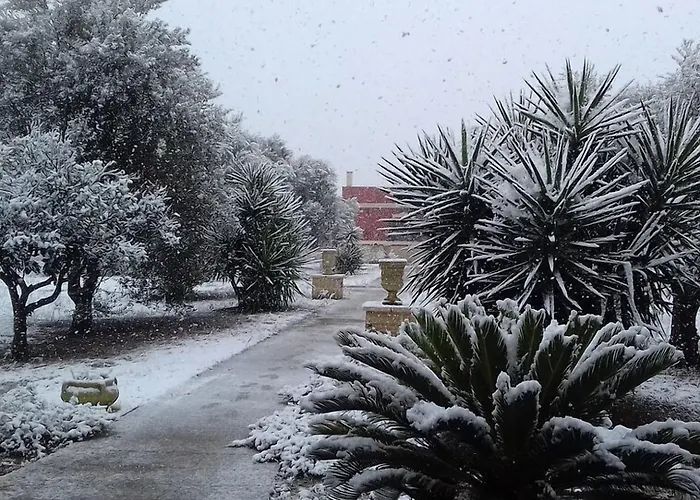 Elda Salento توليي