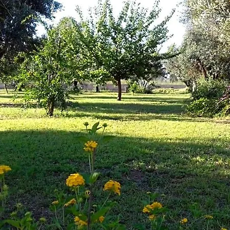 Elda Salento Bed & Breakfast 3*